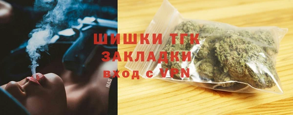 сатива Медвежьегорск