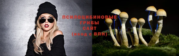 сатива Медвежьегорск