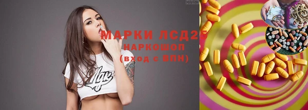 сатива Медвежьегорск