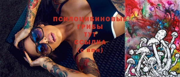 мескалин Новодвинск