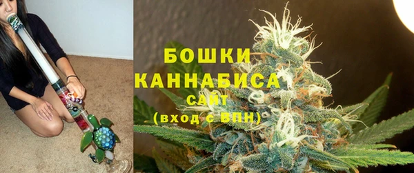 мдма Новозыбков