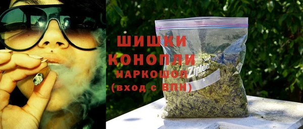 ешки Медногорск