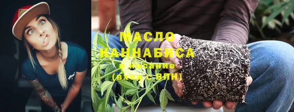 ешки Медногорск