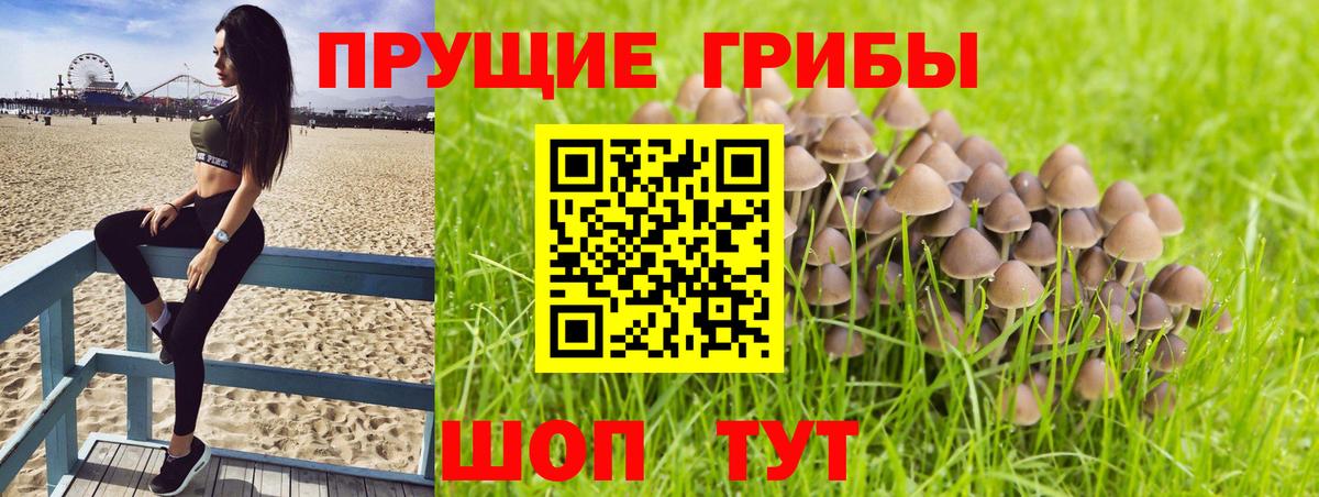Галлюциногенные грибы GOLDEN TEACHER  Вход с VPN  Березники 